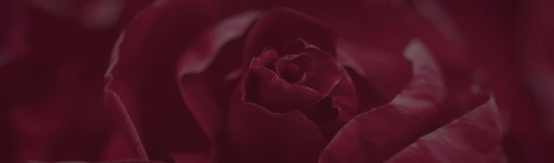 Elegance That Never Fades