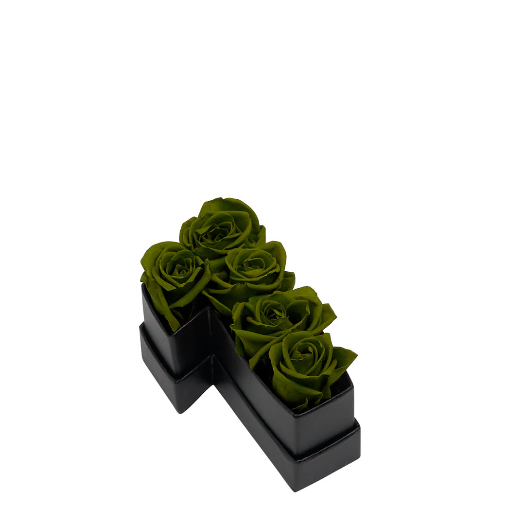 Thumbnail 10